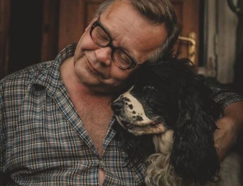 Terapias con animales